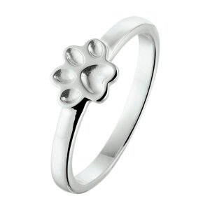 ring hondenpoot