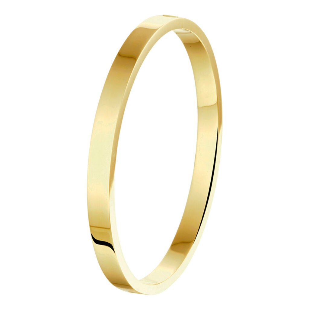 bangle scharnier massief vlakke buis 6,0 mm