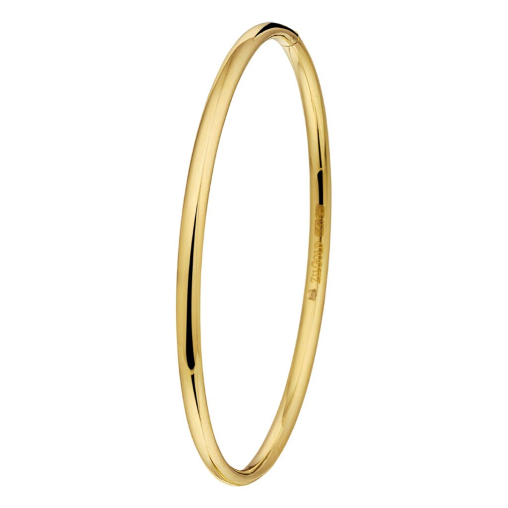 bangle scharnier massief ovale buis 3,0 mm