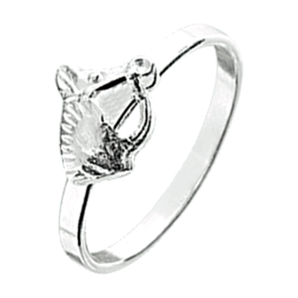 ring paard