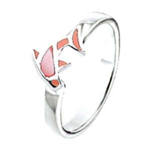 ring dolfijn