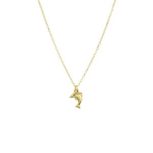 collier dolfijn 36 - 38 cm