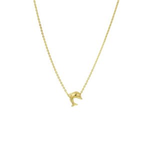 collier dolfijn 38 - 40 cm