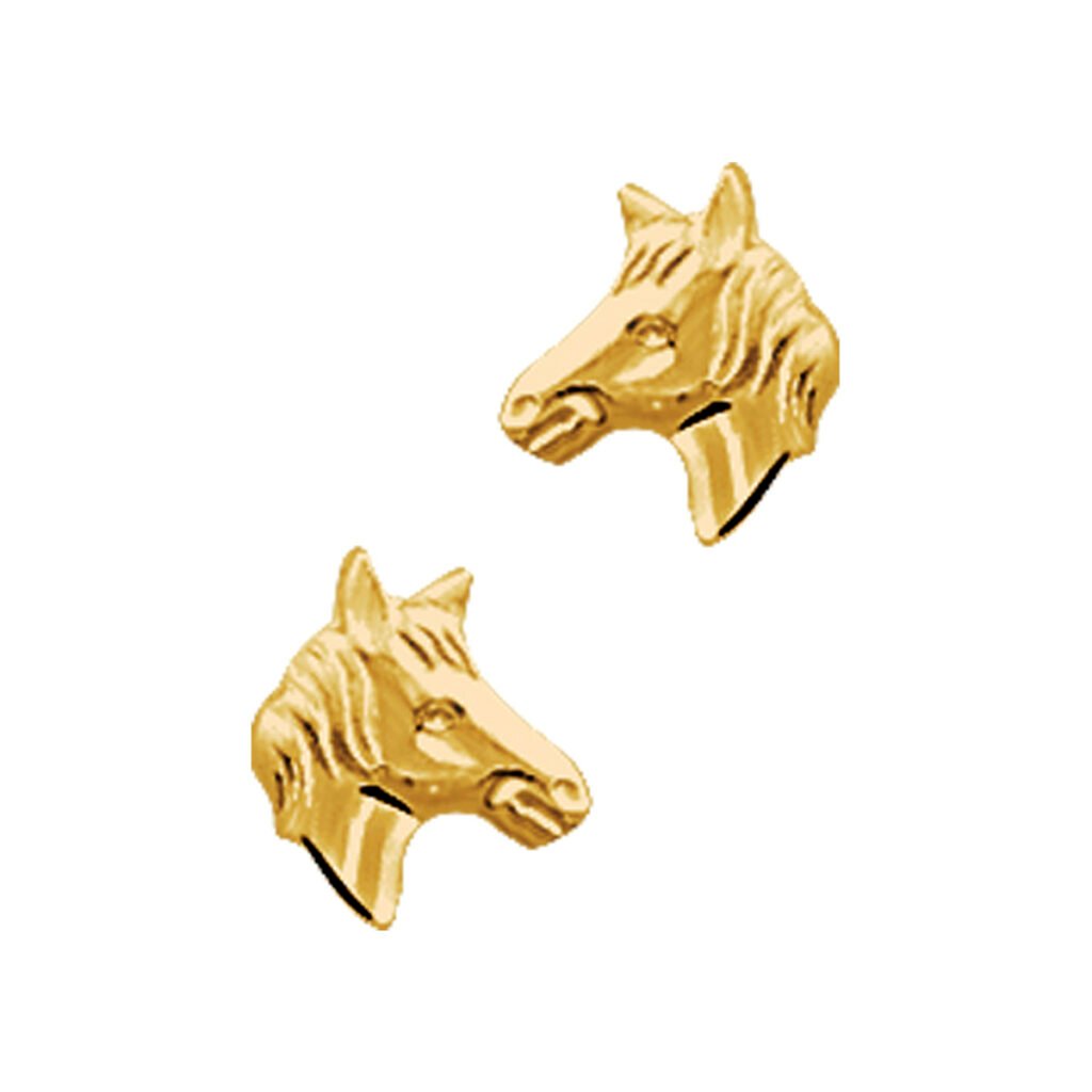 oorknoppen paardenhoofd