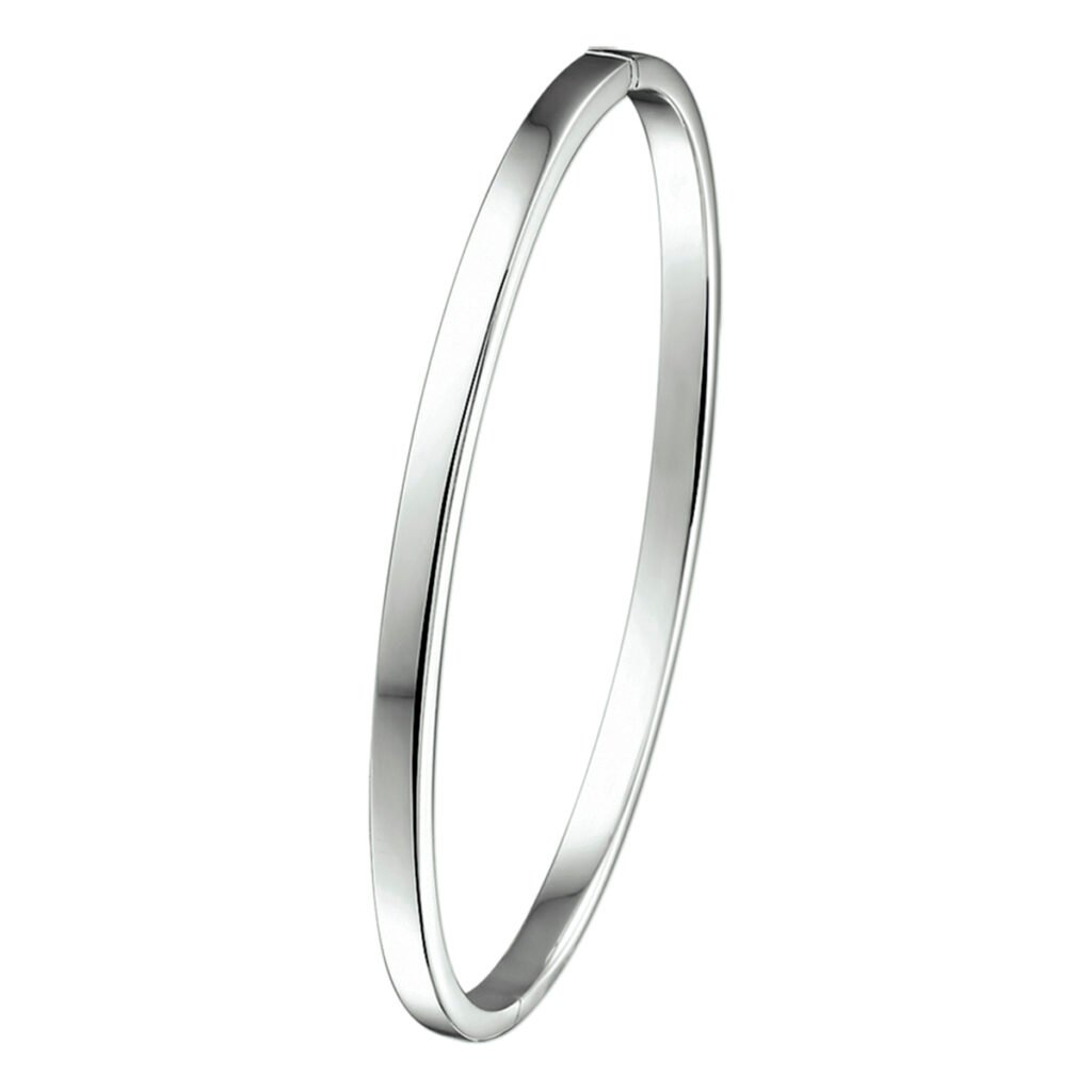 bangle scharnier massief vlakke buis 3 x 61 mm