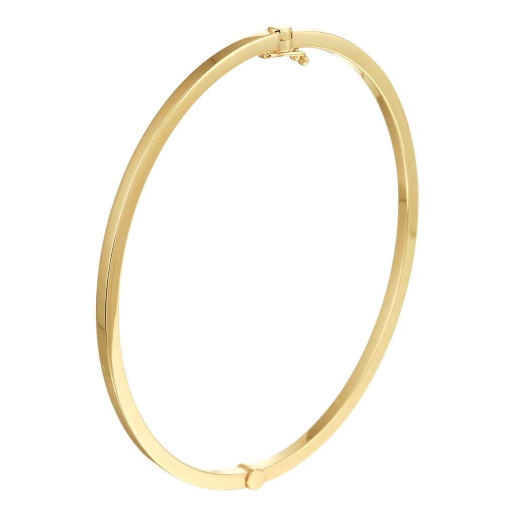 bangle scharnier massief vlakke buis 2,5 mm