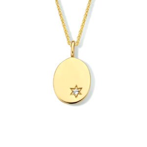 graveercollier ovaal zirkonia 41 + 4 cm