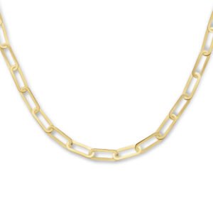 collier paperclip platte buis 5,5 mm 45 cm