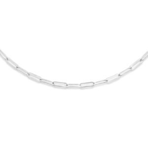 combi-collier gourmette 2,0 mm en paperclip platte buis 3,0 mm 41 + 4 cm