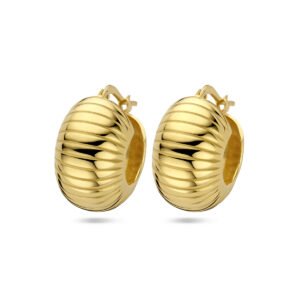 oorringen 1 micron
