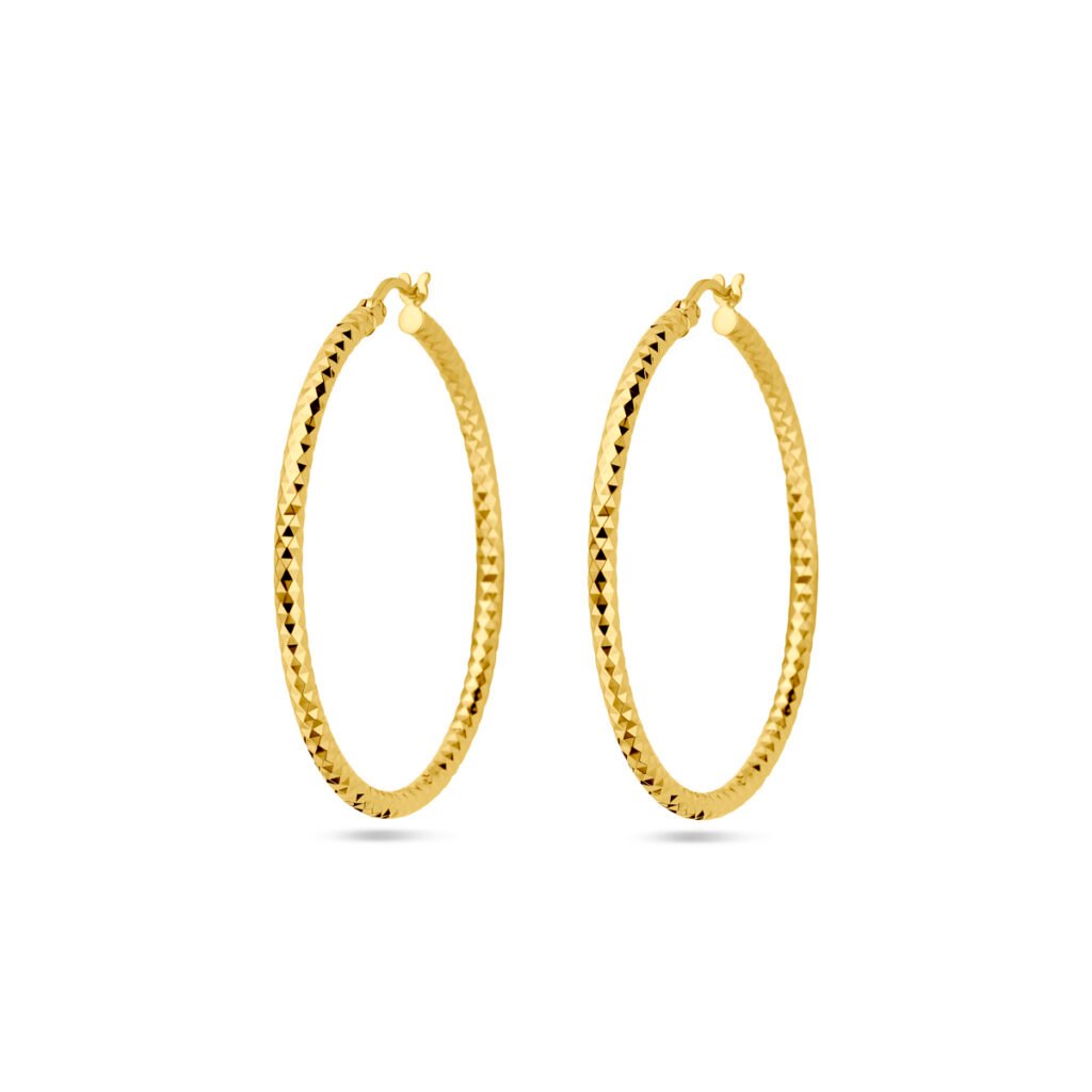 oorringen 2,5 mm ronde buis gediamanteerd 1 micron