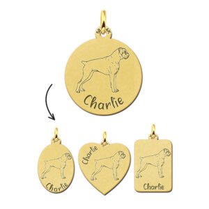 Gouden Hanger met Afbeelding Hond Dogo Argentino + Naam Graveren