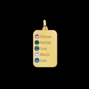 Gouden Dog Tag met Vijf Geboortestenen Names4ever