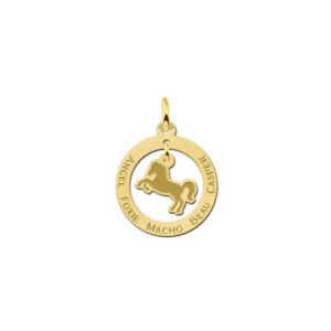 Gouden dieren sieraad met een paard - Names4ever