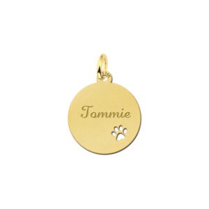 Gouden hangertje met schattig pootje. - Names4ever
