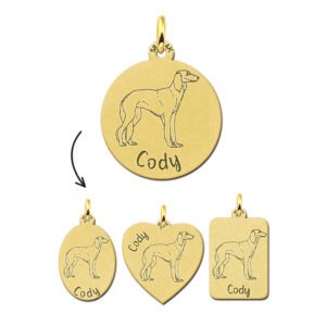 Gouden Hanger met Hondenras Saluki/Perzische windhond + Naam