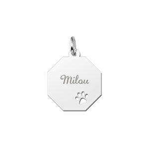 Graveerplaat van zilver met schattig pootje - Names4ever
