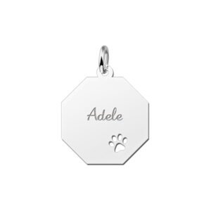 Graveerplaat zilver met schattig pootje - Names4ever