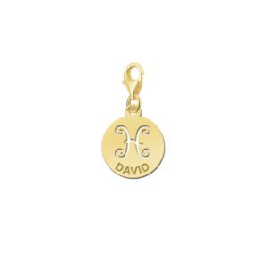 Names4ever Zodiac-Bedel Vissen in massief goud GBS012