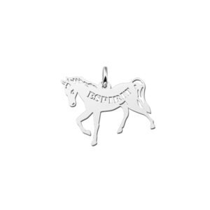Names4ever Paard Naamhanger Zilver ZNDH003