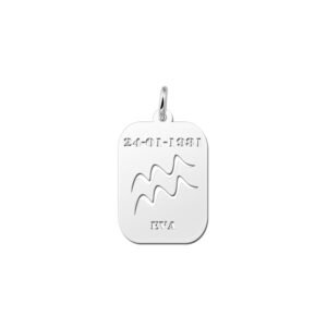 Names4ever Astrologie Waterman Zilver Hanger ZHS011
