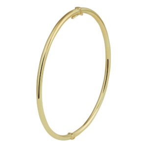 Bangle Geelgoud | Scharnier Massief Ronde Buis | 2,5 x 65 Mm | 925 Zilver | 14 Karaat goud | Dunne bangle