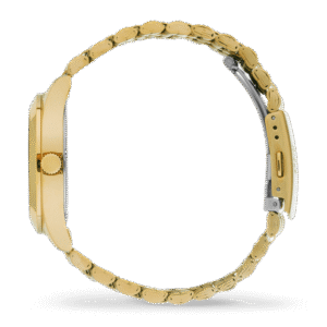 ICE steel solar – Gold – 023791 – detailfoto 2