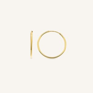 Rosefield Circle oorringen – 14 karaat goud – productfoto 1