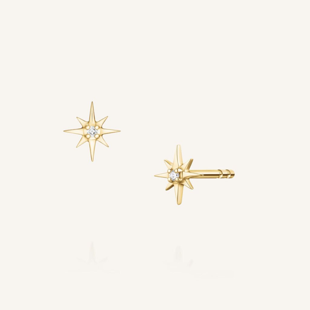 Rosefield Star oorknopjes – 14 karaat goud met labdiamanten – productfoto 1