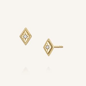 Rosefield Regalia oorknopjes – 14 karaat goud met labdiamanten – productfoto 1