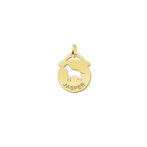 Gouden dierenhanger met hond en naam GNDH035 — foto 1