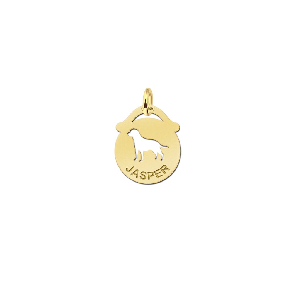 Gouden dierenhanger met hond en naam GNDH035 — foto 1