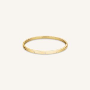 Rosefield Crystal Bangle – goudkleurig / zilverkleurig – productfoto 1