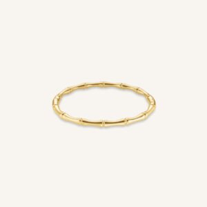 Rosefield Statement Bangle – goudkleurig – productfoto 1