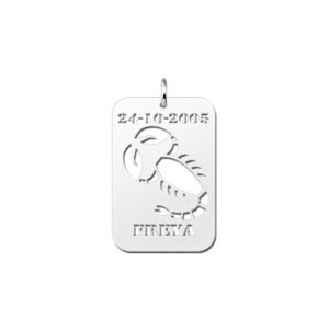 Zilveren Rechthoekige Sterrenbeeldhanger Schorpioen met Naam en Datum | Names4ever - hanger zonder ketting