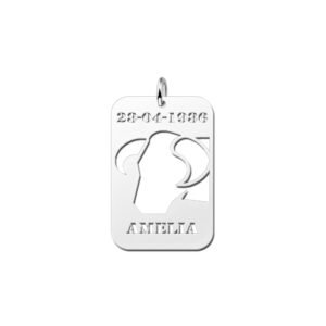 Zilveren Rechthoekige Sterrenbeeldhanger Stier met Naam en Datum | Names4ever - hanger zonder ketting