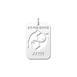 Zilveren Rechthoekige Sterrenbeeldhanger Vissen met Naam en Datum | Names4ever - hanger zonder ketting